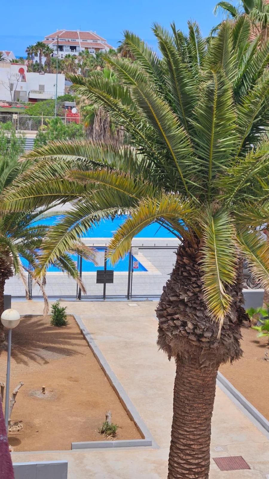 Paraiso Altemar, Duplex Las Americas Playa de las Americas  Luaran gambar